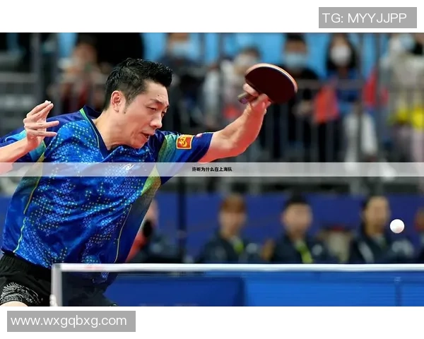 乒乓球个人能力排行榜揭晓上海乒乓球队荣登第五名引关注