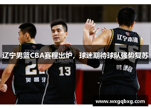 辽宁男篮CBA赛程出炉，球迷期待球队强势复苏