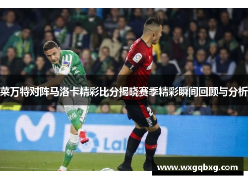 菜万特对阵马洛卡精彩比分揭晓赛季精彩瞬间回顾与分析